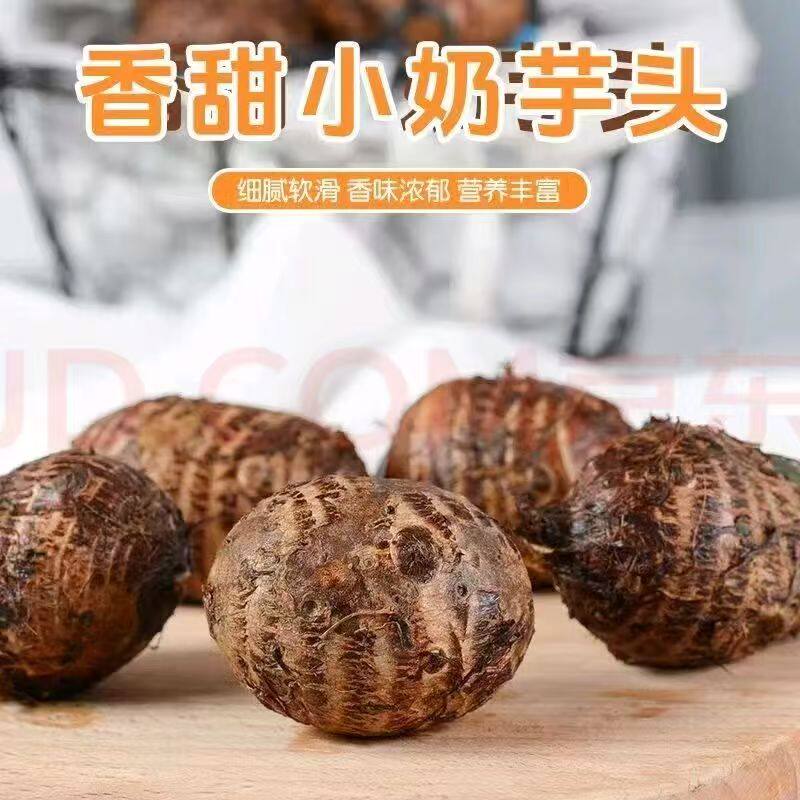 正宗牛奶小芋头新鲜山东毛芋头当季芋艿香芋新货现发软糯