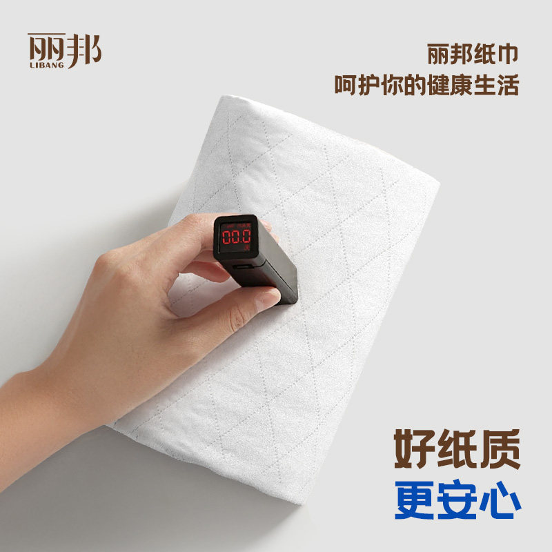 丽邦卷纸卫生纸家用厕纸实惠整提官方正品无芯卷筒纸宿舍手纸耐用