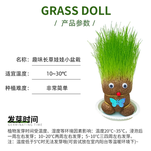 趣味长草娃娃小盆栽草头娃娃猫草绿植儿童小植物幼儿园室内好养 - 图2