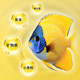 ອາຫານປາ Koi goldfish special feed floating granular fish food ornamental fish grass gold universal fish food ສາມສີ