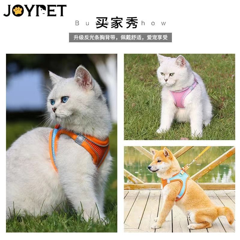 小型犬狗狗猫咪牵引绳背心式透气网面胸背带比熊泰迪小狗狗绳反光 - 图2