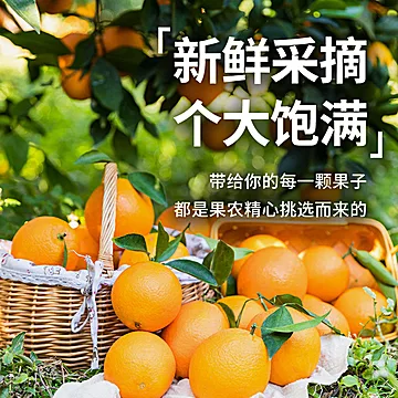 正宗赣南脐橙80起4.5斤的[1元优惠券]-寻折猪