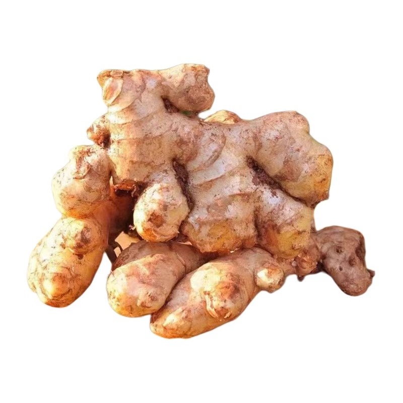 山东老姜农家自种5斤带泥新鲜新姜鲜生姜大黄姜姜生姜包邮,淘宝优惠券,粉丝福利购,淘宝优惠卷