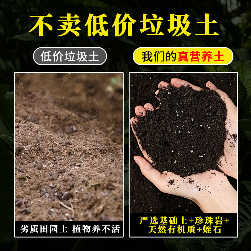 营养土养花通用专用种菜土壤种植土椰砖多肉家用盆栽种花泥土发酵 - 图1