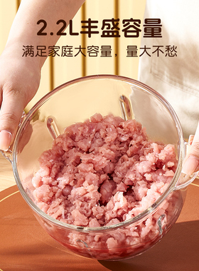 志高绞肉机家用小型多功能料理机