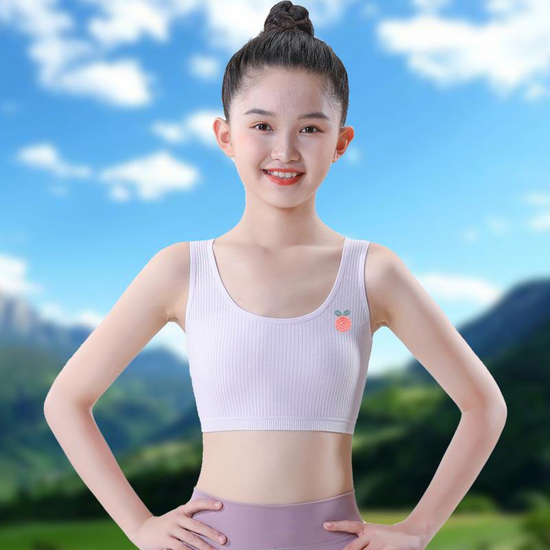 图 3