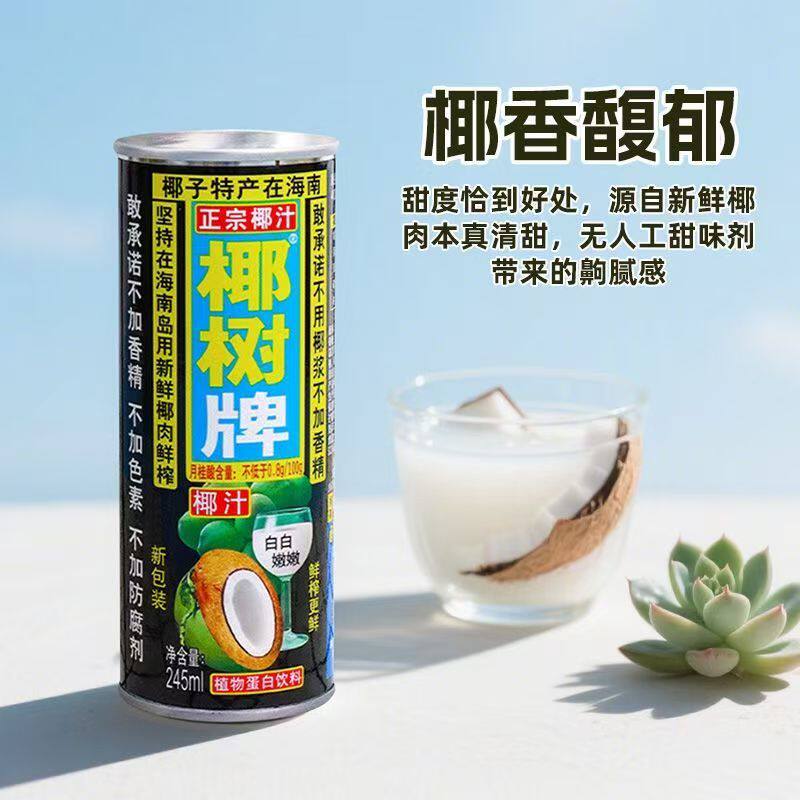 椰树牌【椰树椰汁245ml*12罐】