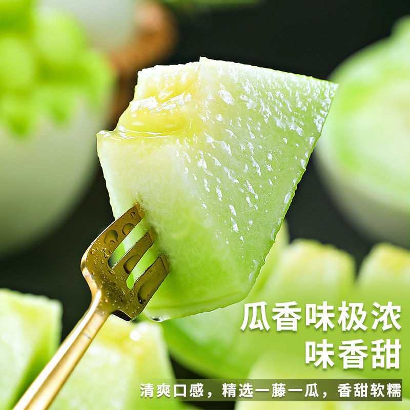海南玉菇甜瓜冰淇淋新鲜水果蜜瓜香瓜甜瓜现摘现发正宗整箱包邮 海南玉菇甜瓜冰淇淋新鲜水果蜜瓜香瓜甜瓜现摘现发正宗整箱包邮