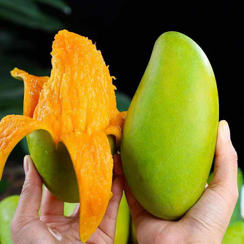 正宗精选金煌芒4.5斤净重一箱