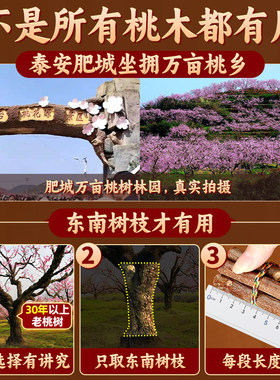 七根桃木枝真老桃树枝条桃木东南枝棍婴儿床头五色绳护身挂件福袋