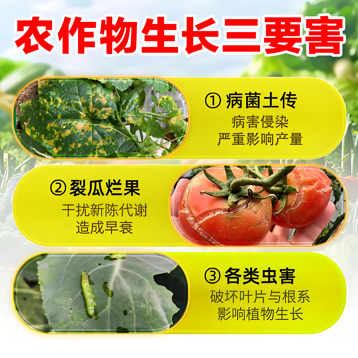 农用小苏打除虫杀菌增产种菜叶面肥碳酸氢钠农作物花卉蔬菜果树,淘宝优惠券,粉丝福利购,淘宝优惠卷