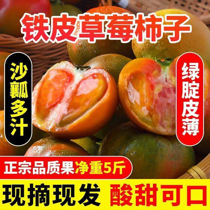 丹东铁皮草莓柿子新鲜生吃水果番茄绿腚碱地铁皮西红柿自然熟现摘,淘宝优惠券,粉丝福利购,淘宝优惠卷