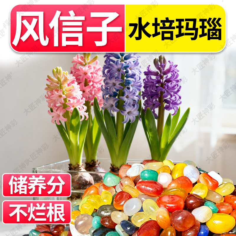 雨花石彩色玛瑙石鹅卵石鱼缸水培花盆造景装饰多肉铺面天然小石头,淘宝优惠券,粉丝福利购,淘宝优惠卷