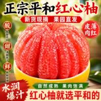 正宗平和福建头茬红心蜜柚4.5斤