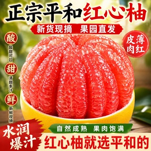 正宗平和福建头茬红心蜜柚4.5斤