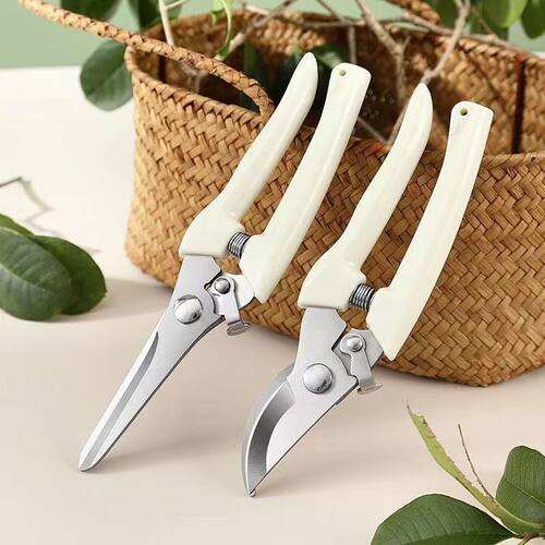 剪刀树枝修剪不锈钢修枝剪多功能园艺果园绿植花枝摘果剪园林工具便携安全 - 图1