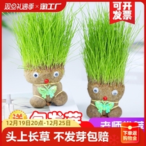 Head Long Grass Doll Grass Head Children Grow Small Potted Plants Fun Nursery Green Plant Growth Watch Plant Germination