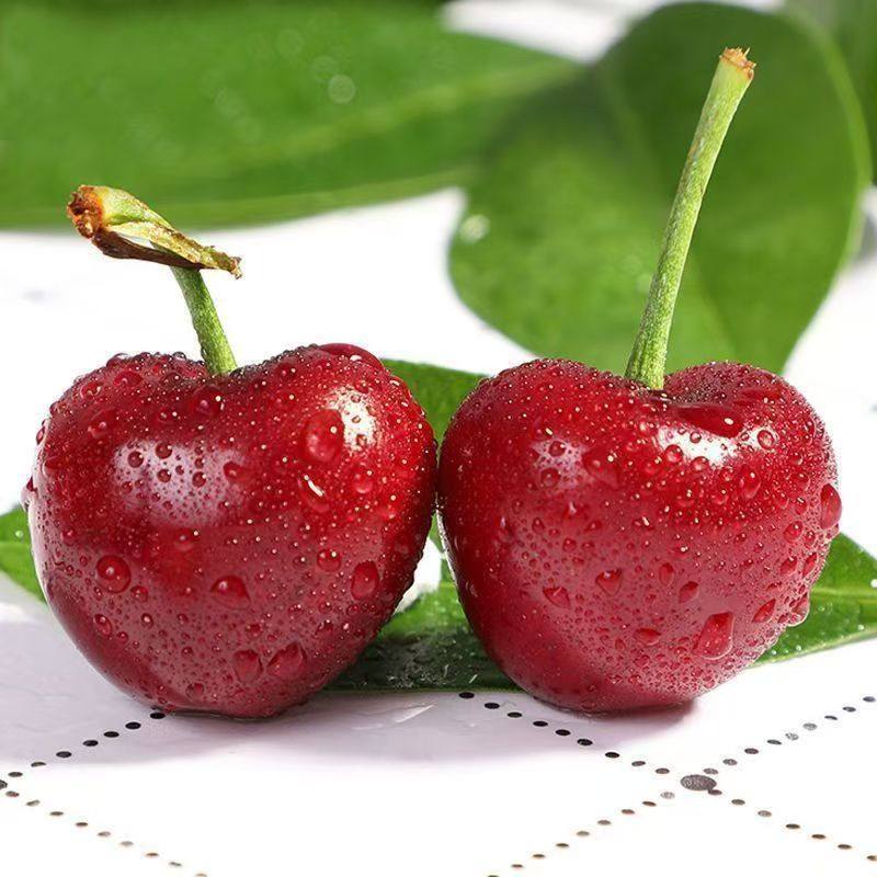 智利进口桑提娜车厘子新鲜水果樱桃应季新鲜孕妇可食5斤礼盒包邮,淘宝优惠券,粉丝福利购,淘宝优惠卷