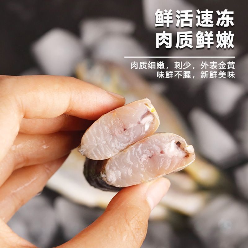 新鲜小黄花鱼海捕鲜活冷冻小黄鱼2斤5斤深海鱼海鲜水产商用批发,淘宝优惠券,粉丝福利购,淘宝优惠卷