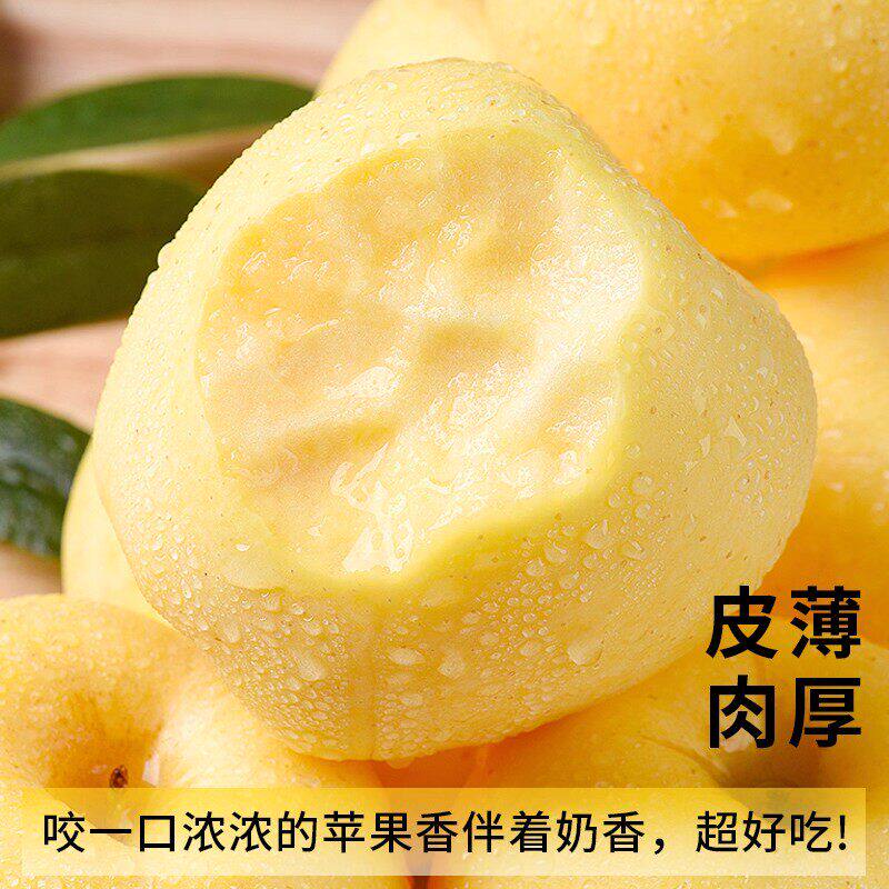 黄金奶油富士苹果烟台水果新鲜当季整箱冰糖心批发正宗包邮