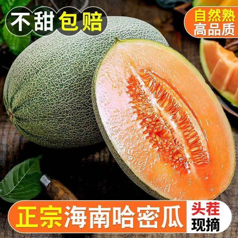 海南哈密瓜玲珑网纹蜜瓜当季现摘脆甜多汁皮薄新鲜香甜整箱装甜脆