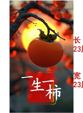 美化瑕疵改造遮丑神器不透明贴纸