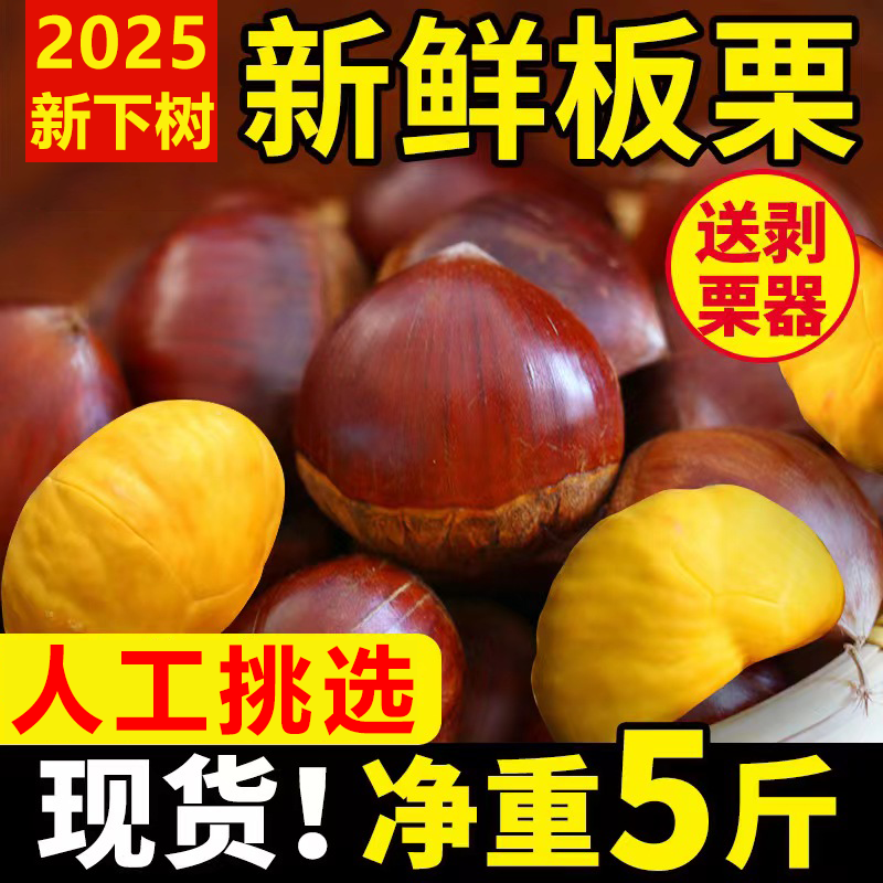 2025新鲜丹东板栗5斤鲜栗子大板栗带壳栗子生板栗新油板栗批发,淘宝优惠券,粉丝福利购,淘宝优惠卷