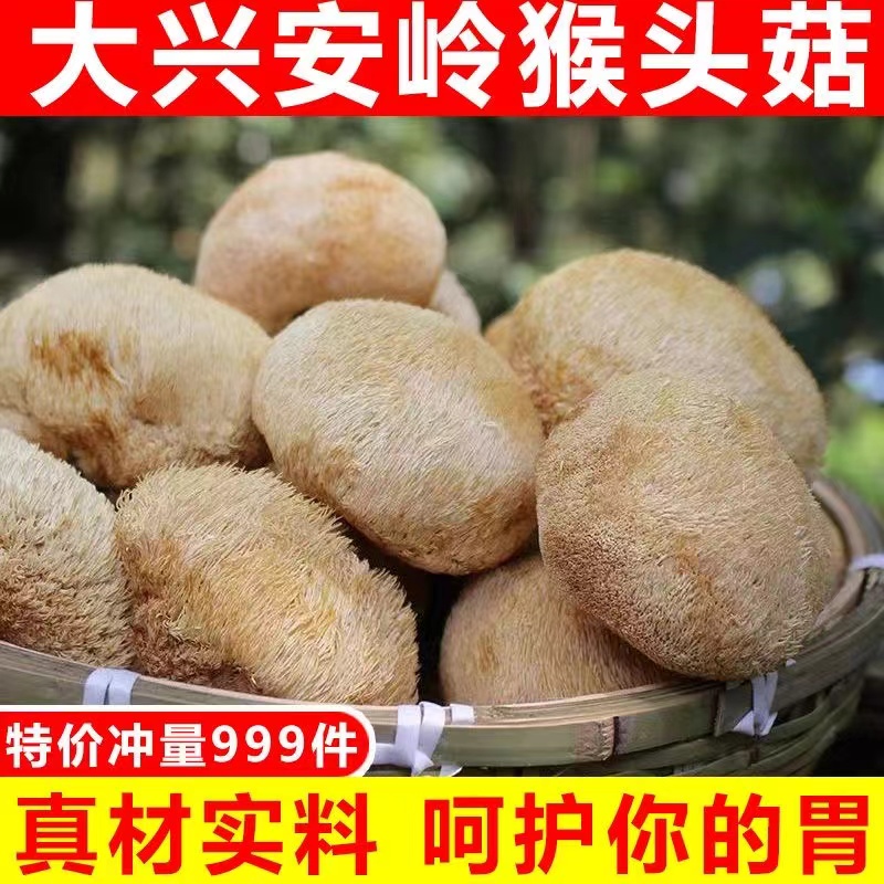 手选猴头菇干货新鲜不添加东北半野生菌煲汤养胃打纯粉官方旗舰店 - 图2