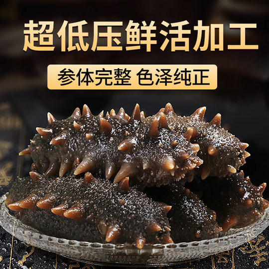 优质即食海参辽刺参即食500g鲜活辽参海生刺参单个真空独立包装