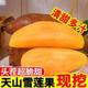 Yunnan yacon fresh fruit 9Jin Jin is equal to 0.5 kg yellow heart first-class authentic yacon seasonal whole box