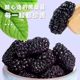 Xinjiang dried mulberries 25g*10 bags
