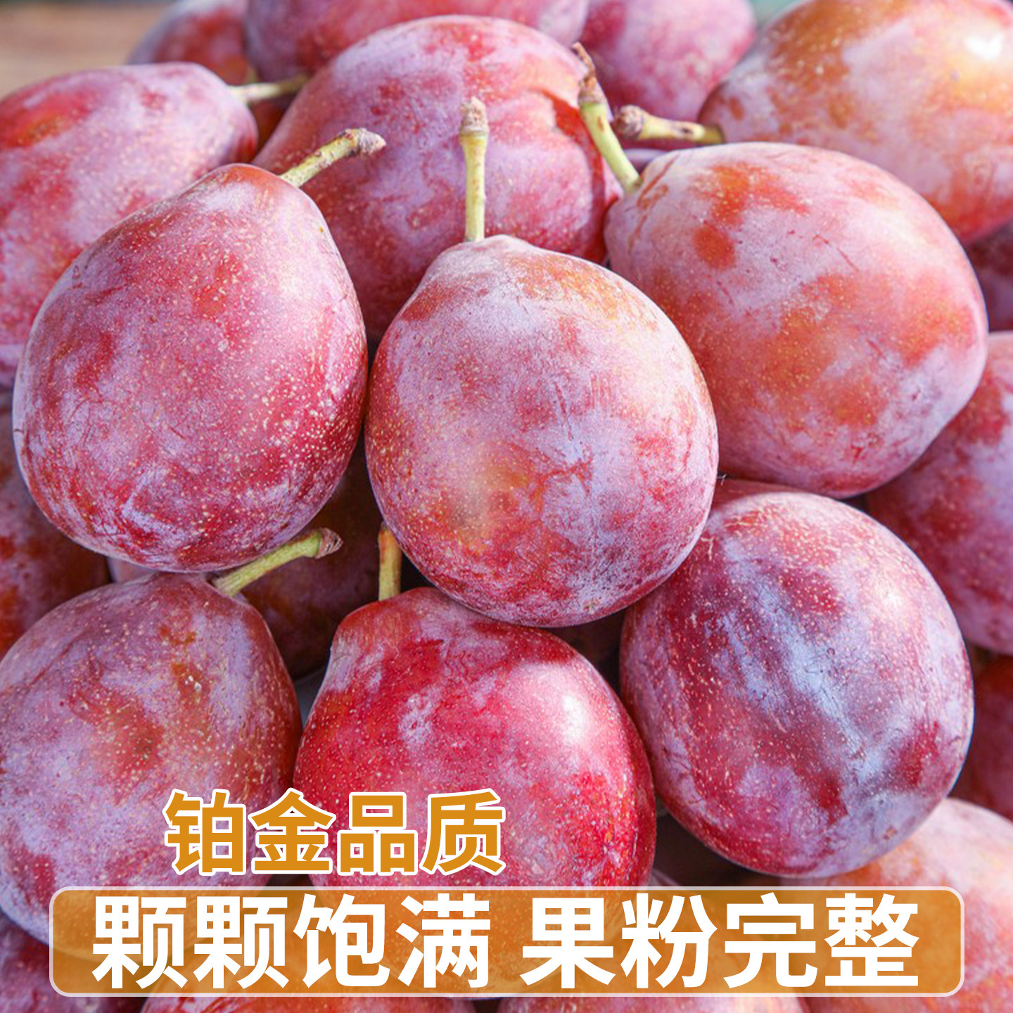 顺丰澳洲西梅新鲜水果李子鲜果高端大果孕妇脆甜礼盒装当季整箱5,淘宝优惠券,粉丝福利购,淘宝优惠卷