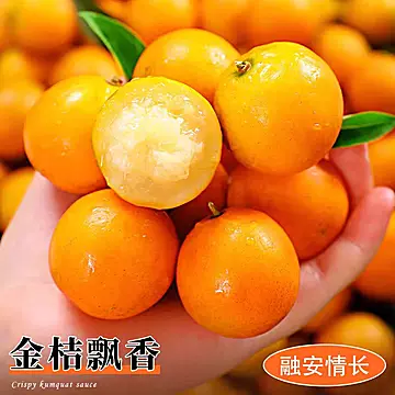 【礼金+金币14.7】广西冰糖小金桔3斤[4元优惠券]-寻折猪