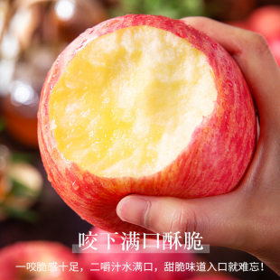 下拉17！山东烟台新鲜脆甜栖霞红富士4.5斤
