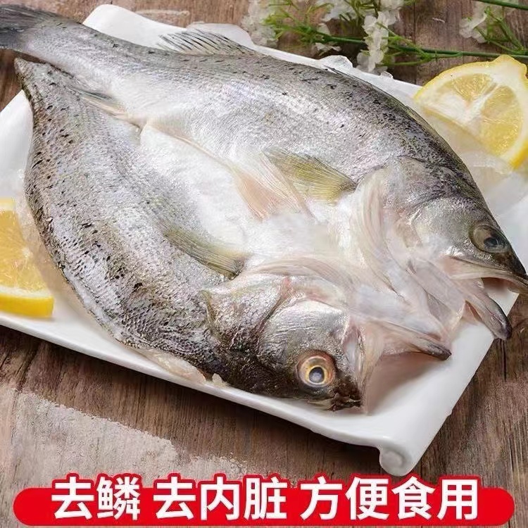 【特大号饭店开背鲈鱼】深海七星鱼生鲜鱼海鱼海鲜鲈鱼免清理 - 图0