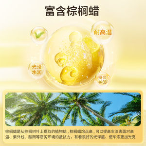 车仆金棕榈洗车液高泡水蜡沫清洁剂白车专用黑车强力去污刷车蜡水