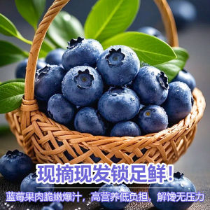 云南高山蓝莓花香特大新鲜水果现摘L25应季整箱大果顺丰/JD美味