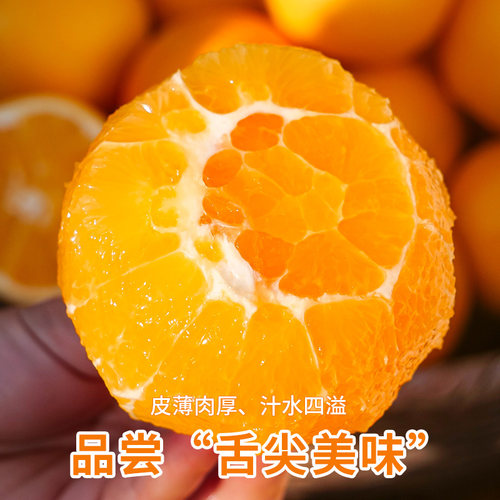 伦晚脐橙秭归春橙甜橙子榨汁当季时令孕妇5水果9整箱包邮大果现摘 - 图3