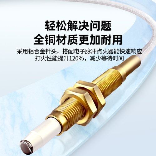 燃气灶点火针通用配件大全打火器万用感应铜针煤气热电偶双线脉冲 - 图1