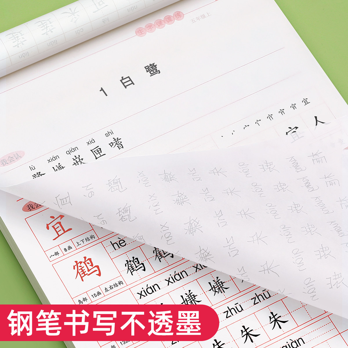 2026新版五年级语文同步临摹练字帖上册下册人教版小学生专用生字字帖钢笔每日一练正楷笔画笔顺练习册练字本写字贴硬笔书法楷书,淘宝优惠券,粉丝福利购,淘宝优惠卷