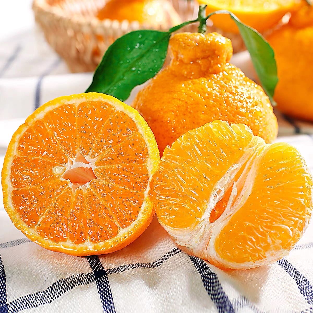 正宗四川不知火丑橘甜蜜多汁现采直发当季水果手剥榨汁桔子补维c