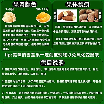 【净重4.5斤】特级云南天山雪莲果[1元优惠券]-寻折猪