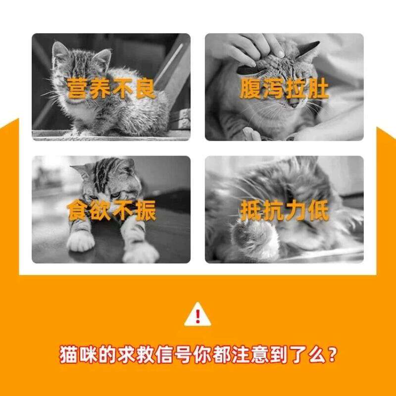 商品缩略图 2