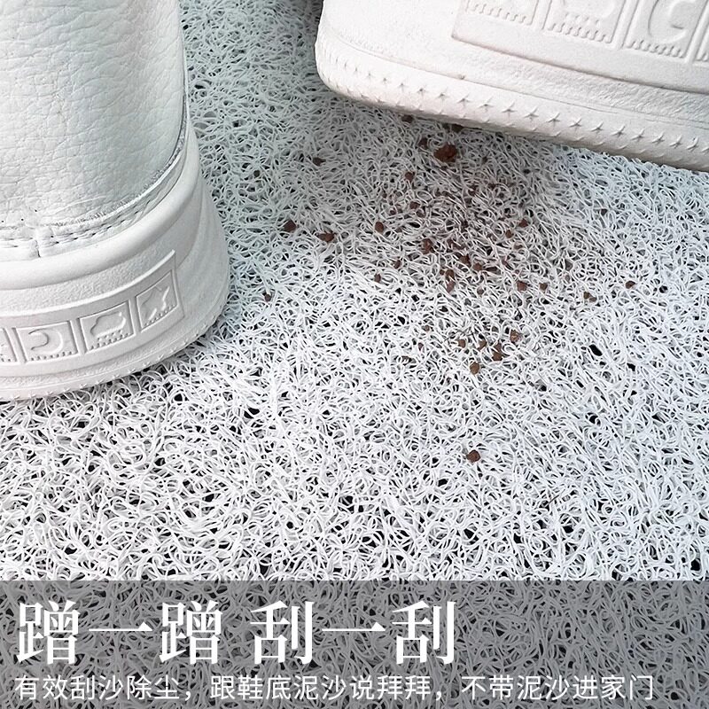丝圈入户门地垫进门防滑脚垫入门地毯可裁剪门口门垫回家欢迎新年,淘宝优惠券,粉丝福利购,淘宝优惠卷