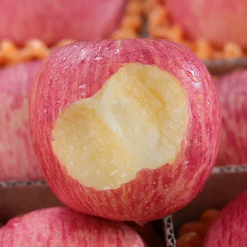 26亓左右陕西洛川苹果净含量*4.5斤！[1元优惠券]-寻折猪