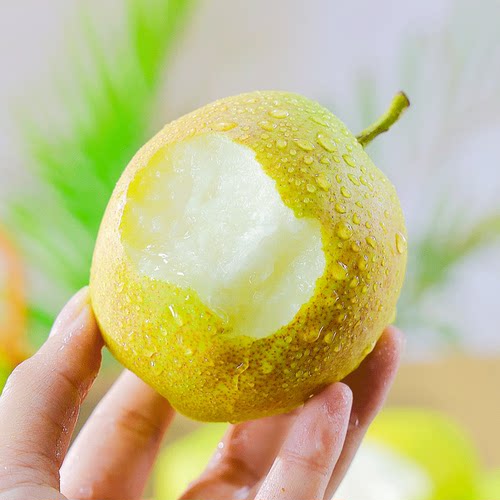 【现摘】红香酥梨当季梨子新鲜水果香梨山西时令脆甜雪梨整箱包邮 - 图1