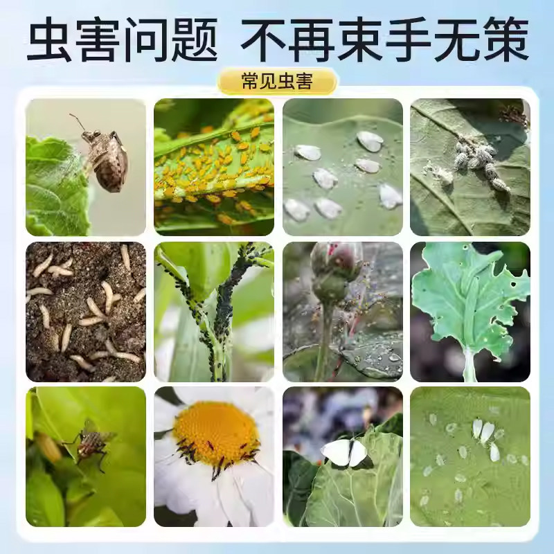 百虫清花卉绿植蔬菜通用多肉除虫剂盆栽月季蚜虫介壳虫红蜘蛛养花