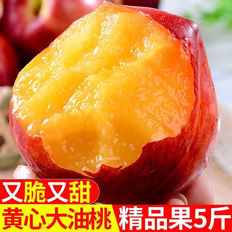 安徽砀山麻点大油桃黄心油桃新鲜水果当季黄肉油桃孕妇水果
