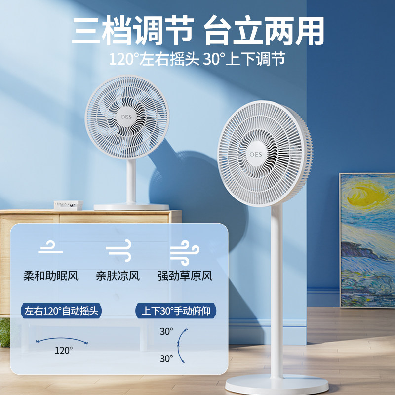OES电风扇落地扇家用大风力