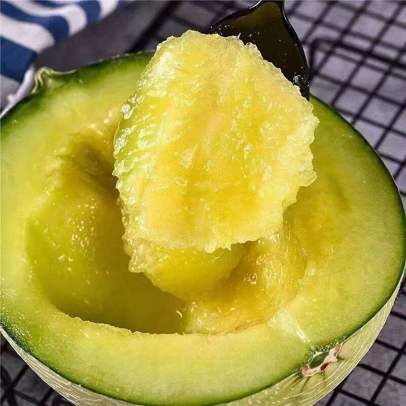 现摘海南网纹蜜瓜4—5斤新玫珑蜜瓜疆冰淇淋网纹静冈密瓜新鲜小瓜 现摘海南网纹蜜瓜4—5斤新玫珑蜜瓜疆冰淇淋网纹静冈密瓜新鲜小瓜